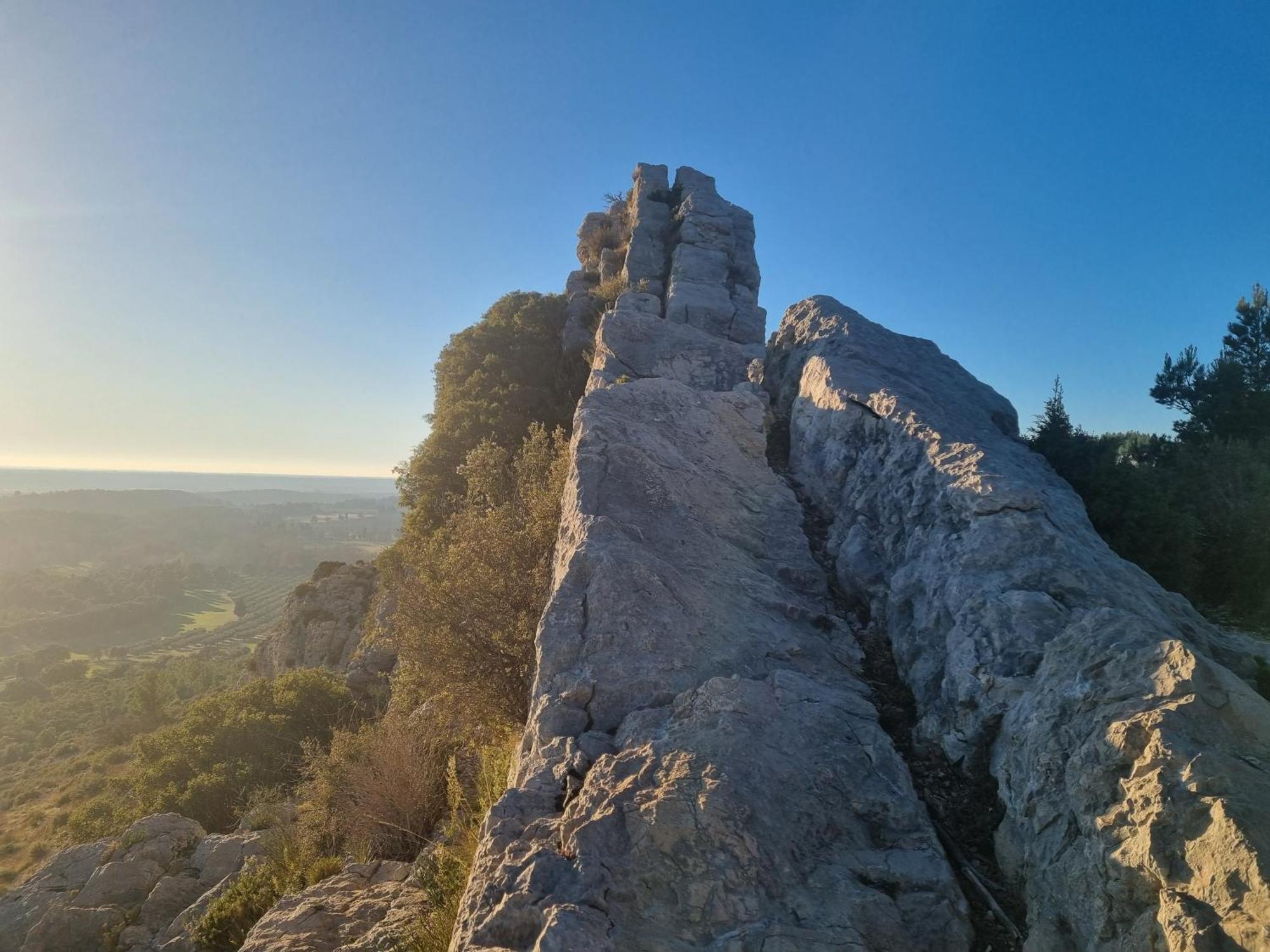 Les Garrigues De La Vallee Des Baux Paradou Eksteriør billede