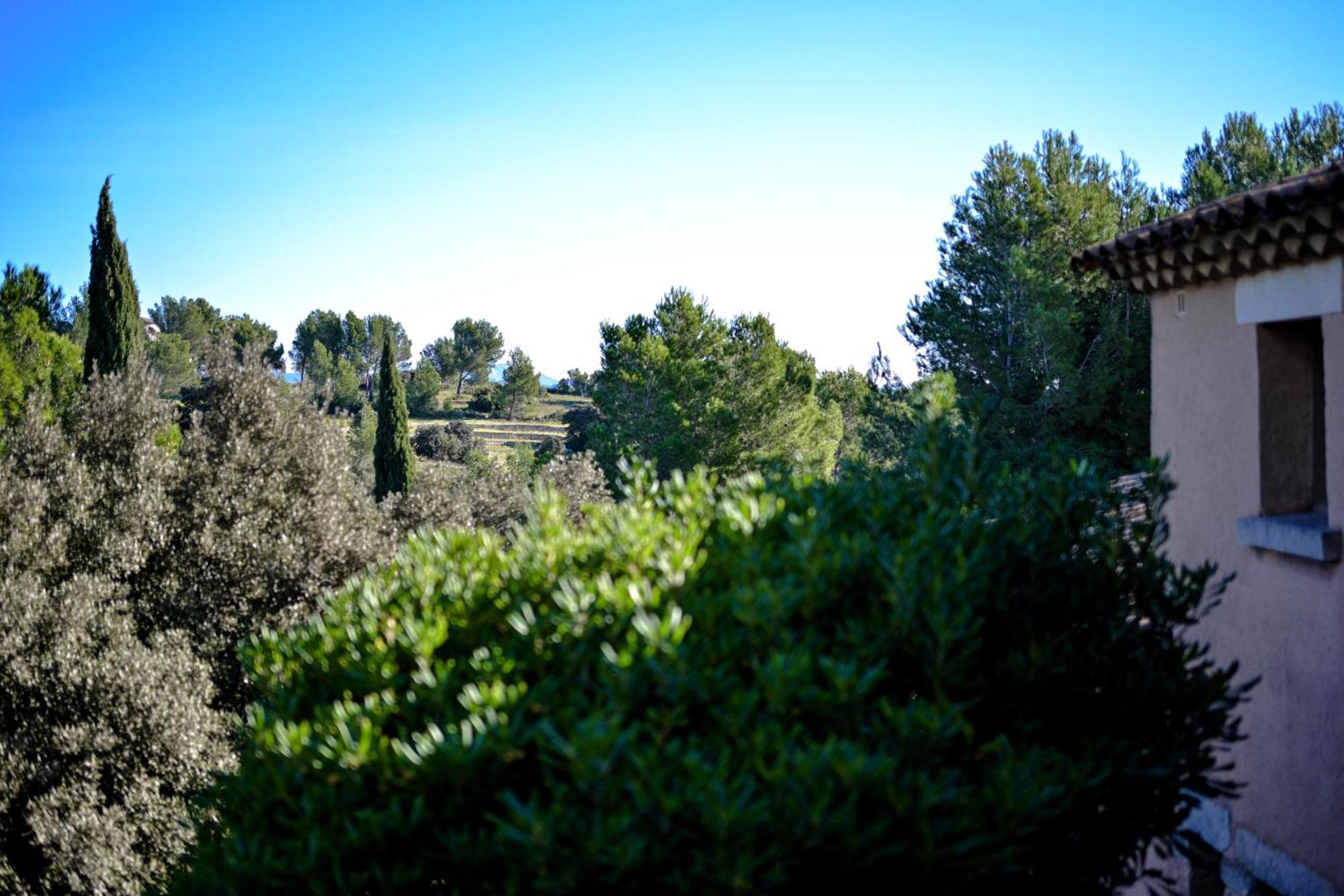 Les Garrigues De La Vallee Des Baux Paradou Eksteriør billede