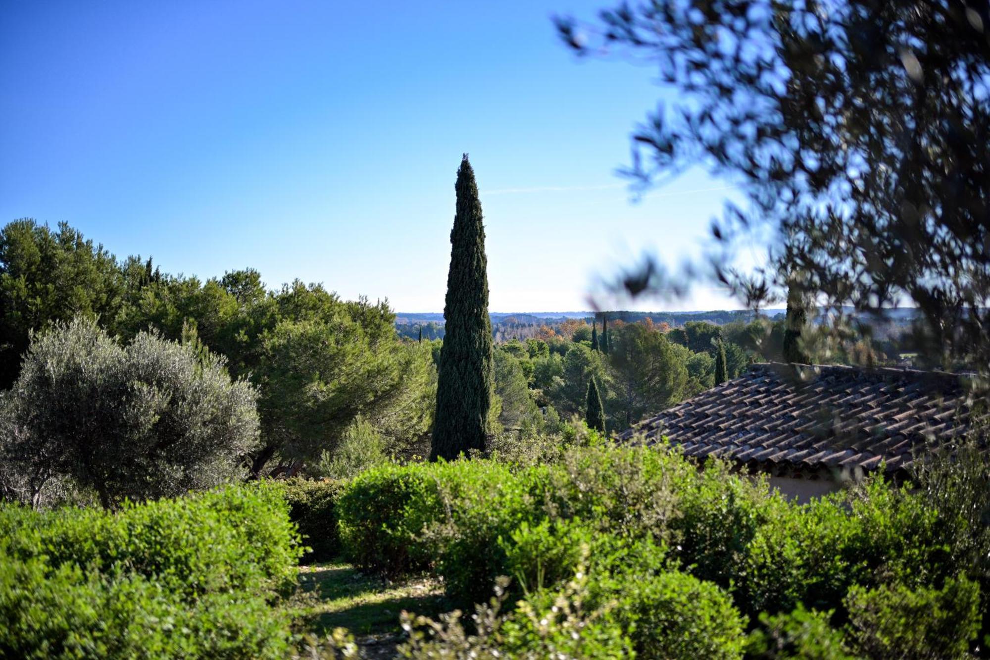 Les Garrigues De La Vallee Des Baux Paradou Eksteriør billede