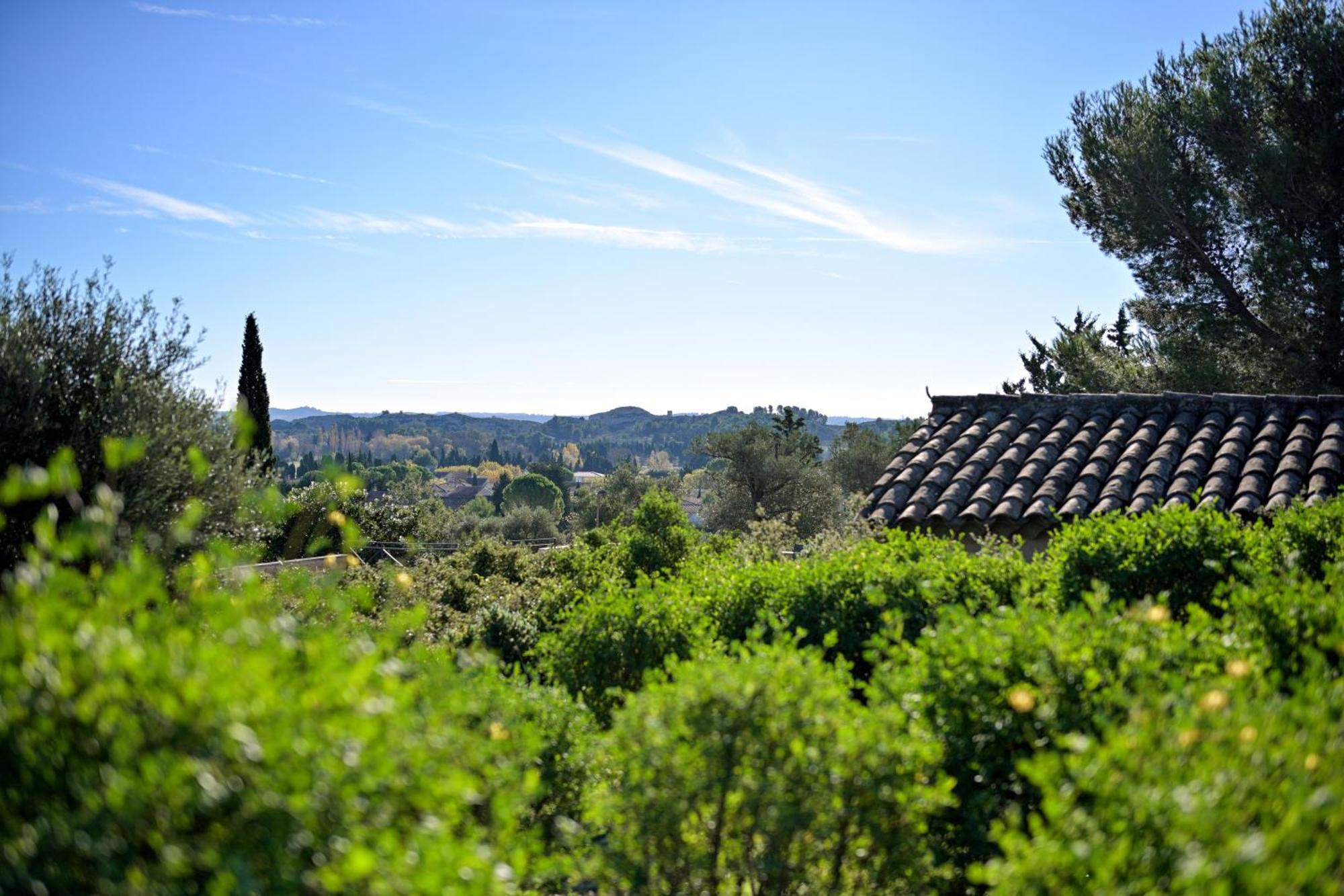 Les Garrigues De La Vallee Des Baux Paradou Eksteriør billede