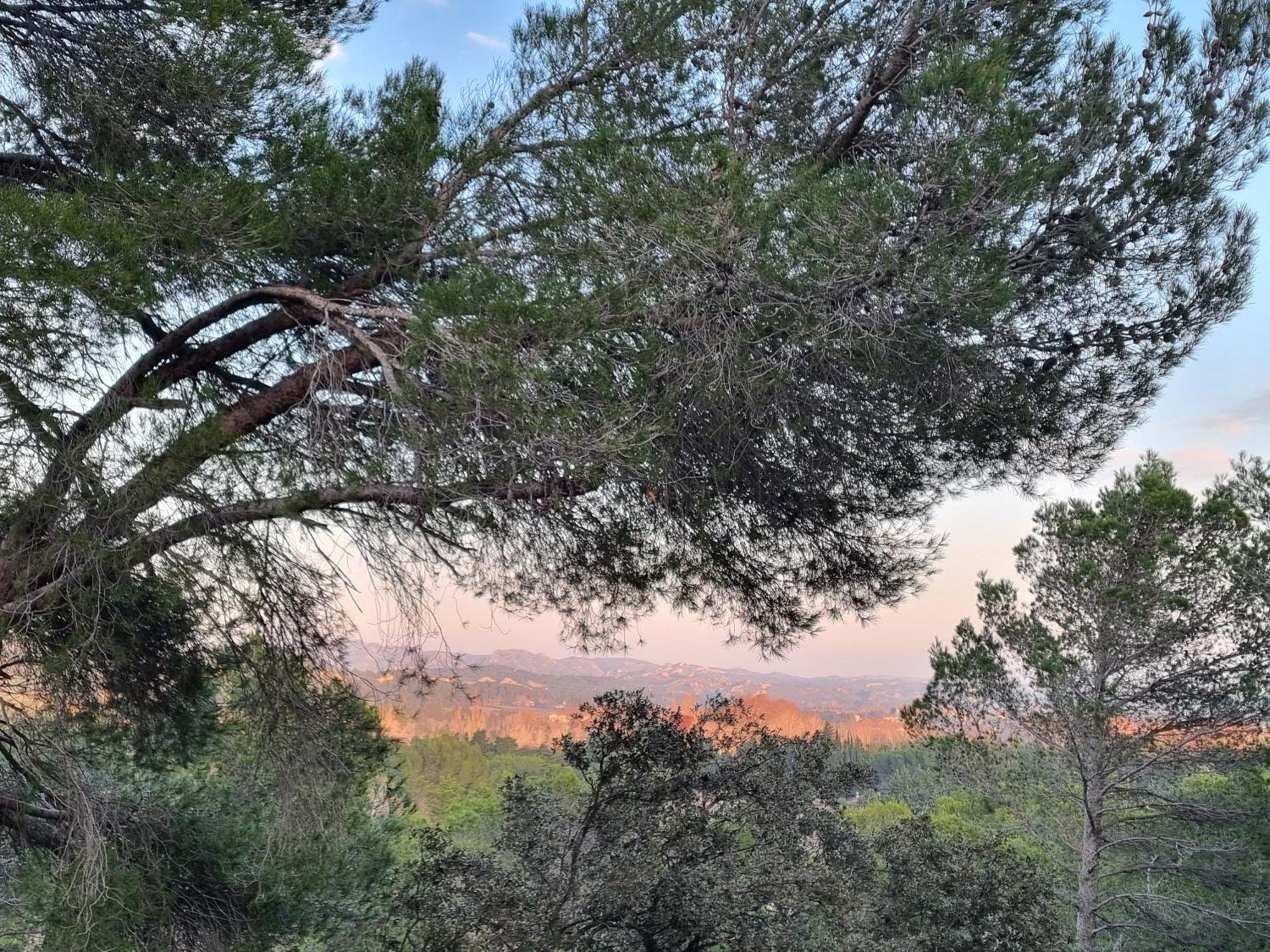 Les Garrigues De La Vallee Des Baux Paradou Eksteriør billede