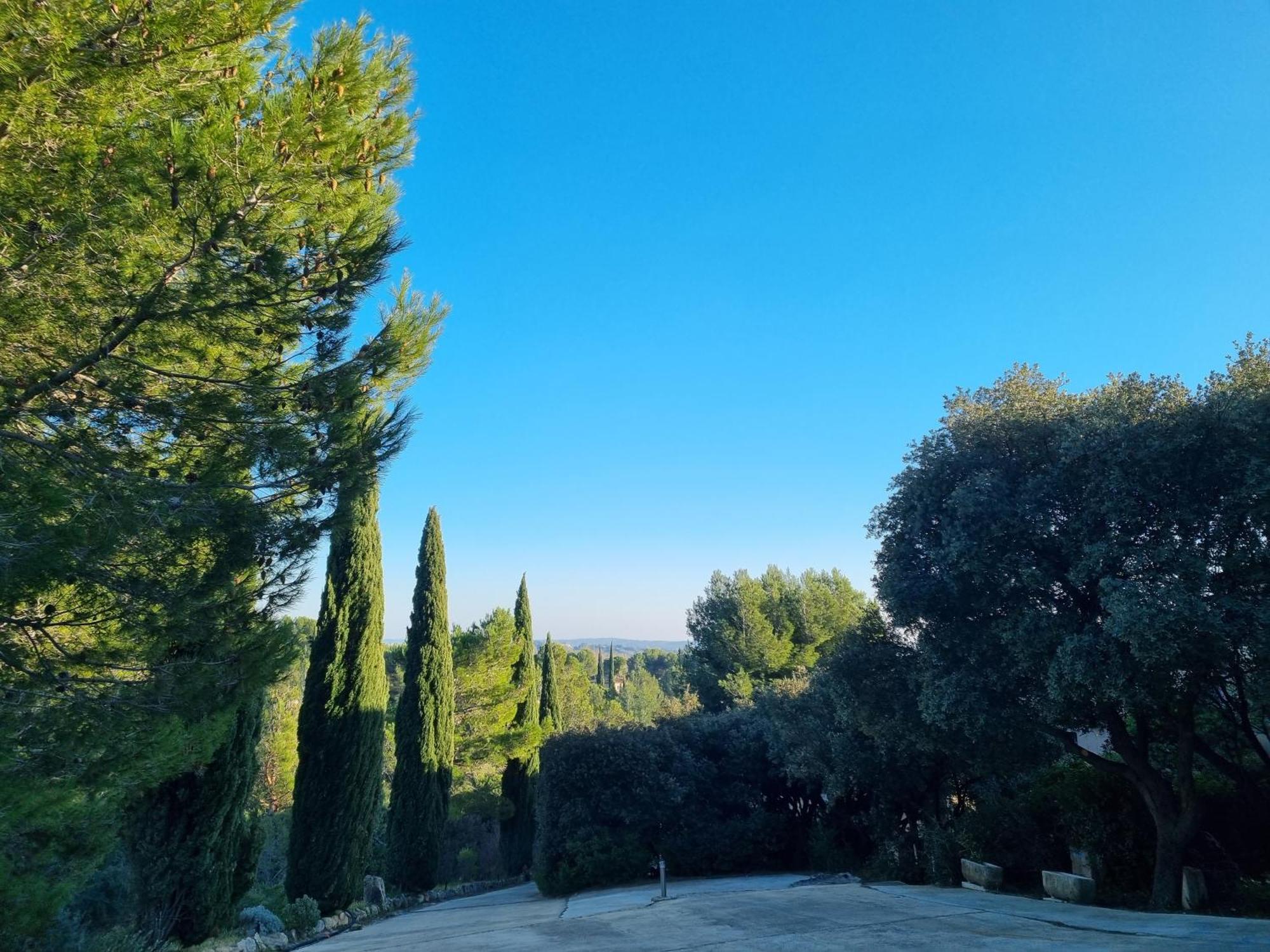 Les Garrigues De La Vallee Des Baux Paradou Eksteriør billede